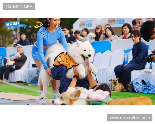 万象体育首页为体育爱好者打造一站式资讯平台满足多样化需求